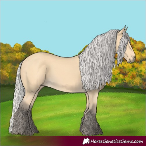 Horse Color:Silver Buckskin 