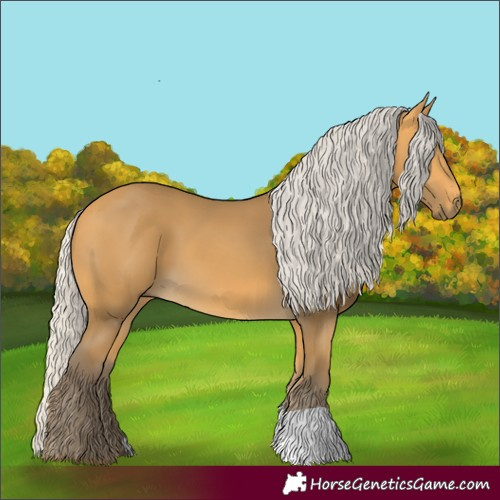 Horse Color:Silver Buckskin