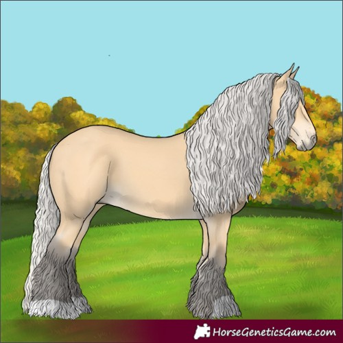 Horse Color:Silver Buckskin