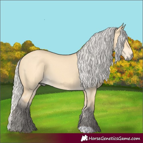 Horse Color:Silver Buckskin Dun