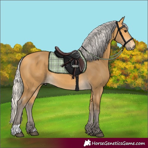 Horse Color:Silver Buckskin
