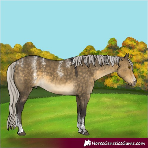 Horse Color:Powder White Silver Buckskin Dun