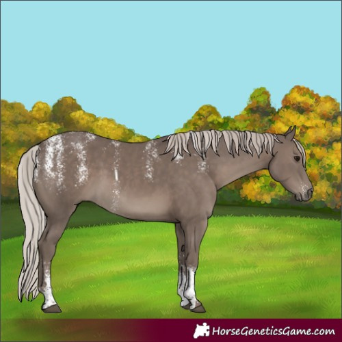 Horse Color:Powder White Silver Black 
