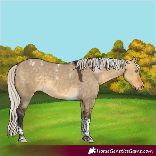 Horse Color:Powder White Silver Buckskin Dun Tobiano Varnish 