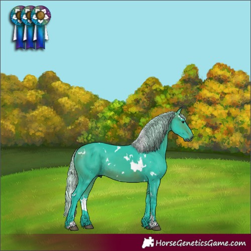 Horse Color:Gray Watercolor White Spotted Silver Bay Rabicano