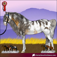 Horse Color:Silver Buckskin Sabino Blanket Rabicano