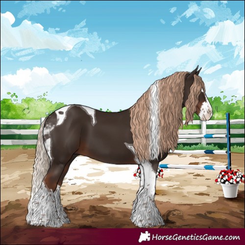 Horse Color:Liver Chestnut Splash Tobiano