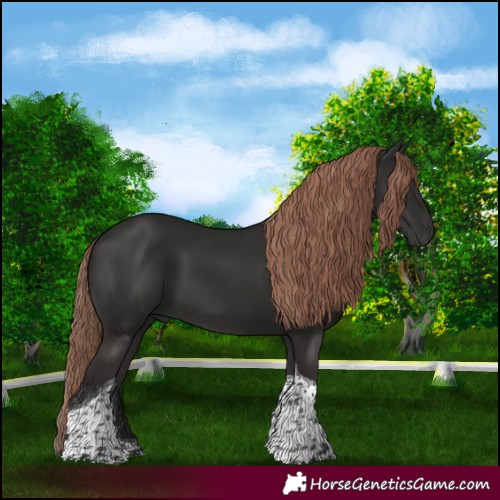 Horse Color:Liver Chestnut Tobiano 