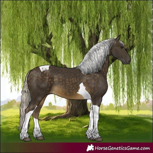 Horse Color:Silver Buckskin Tobiano