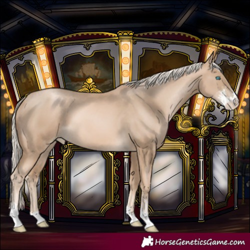 Horse Color:Chocolate Palomino Pearl Sabino 