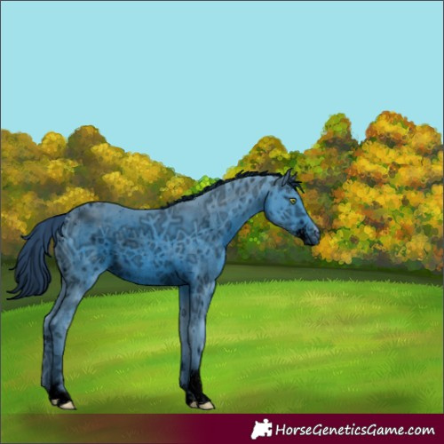 Horse Color:ERROR: UNKNOWN ANOMALY
