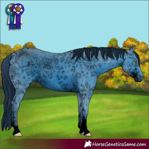 Horse Color:ERROR: UNKNOWN ANOMALY