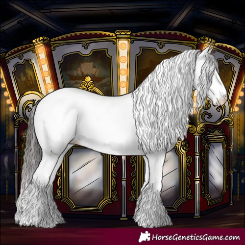 Horse Color:Bay Fewspot