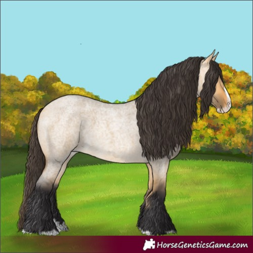 Horse Color:Buckskin Roan Dun Splash 