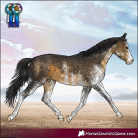Horse Color:White Spotted Buckskin Varnish