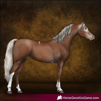 Horse Color:Gray Silver Black Pearl Tobiano