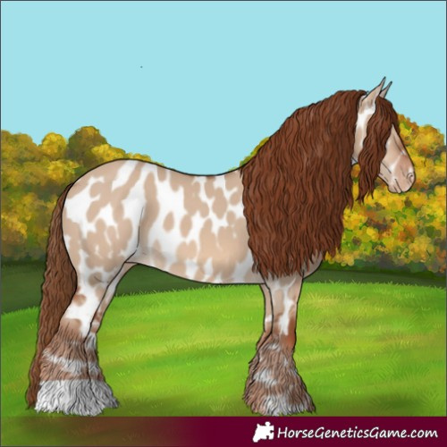 Horse Color:Red Dun Near Leopard 