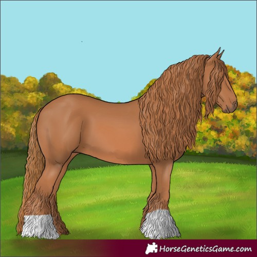 Horse Color:Chestnut 