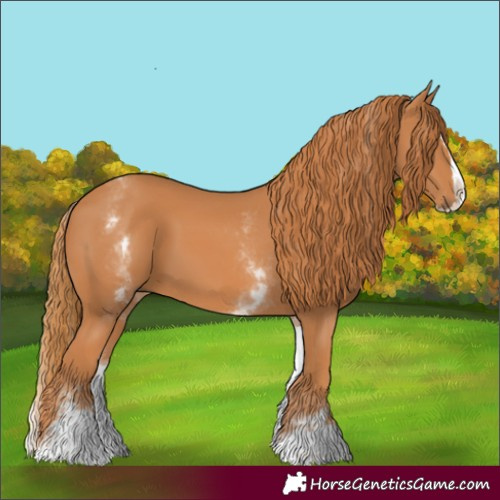 Horse Color:White Spotted Chestnut Splash 