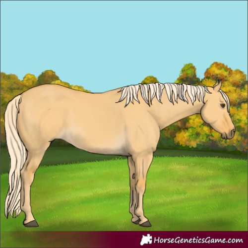 Horse Color:Palomino Dun 