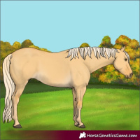 Horse Color:Palomino Dun 