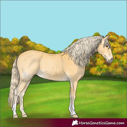 Horse Color:Palomino 