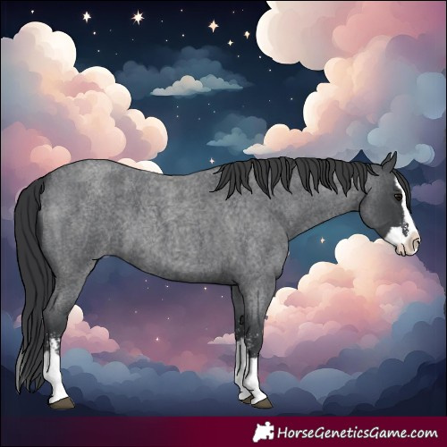 Horse Color:Blue Roan Sabino Splash 