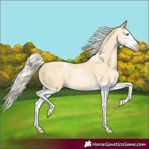 Horse Color:Palomino Pearl Splash 