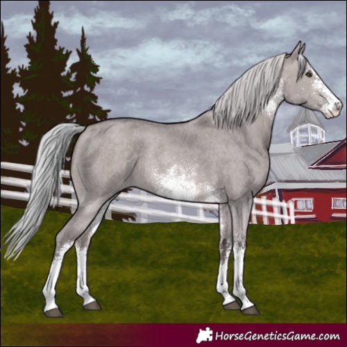 Horse Color:Platinum White Spotted Silver Brown Dun Rabicano 