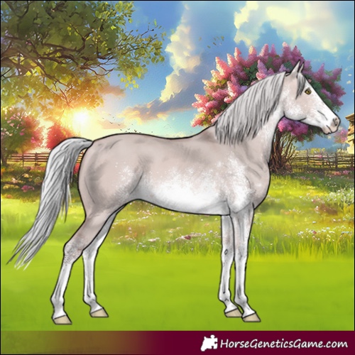 Horse Color:Platinum White Spotted Silver Bay Dun