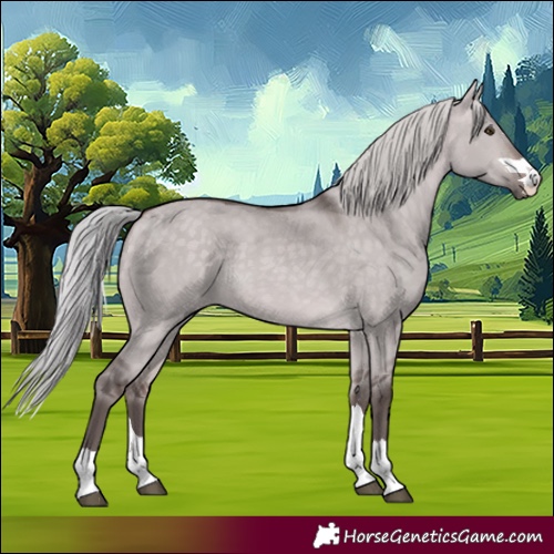 Horse Color:Platinum Silver Bay Dun