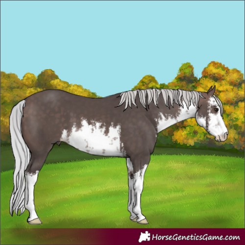 Horse Color:Platinum White Spotted Silver Brown