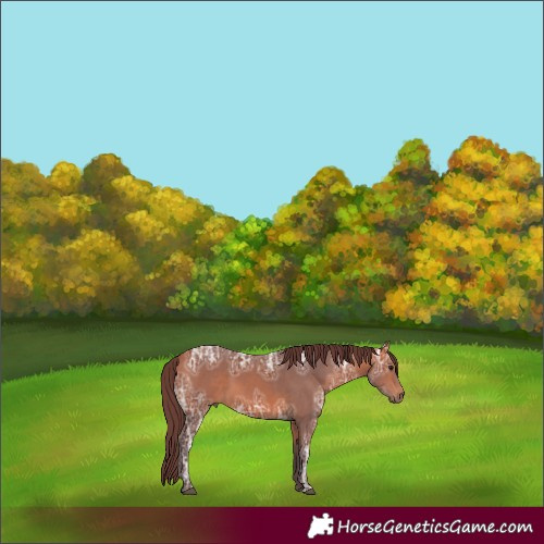 Horse Color:Chocolate Bay Ice 