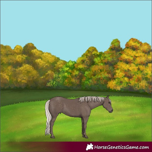 Horse Color:Silver Black 