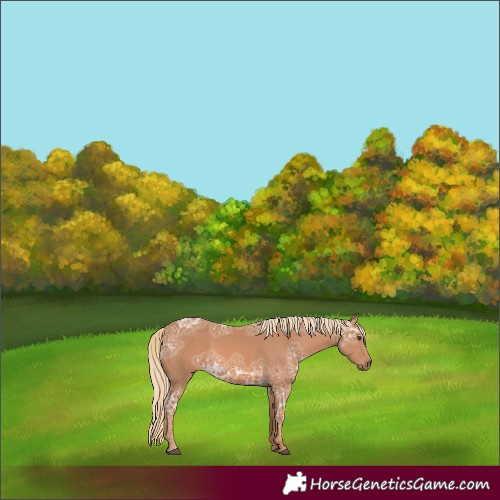 Horse Color:Chestnut Ice 