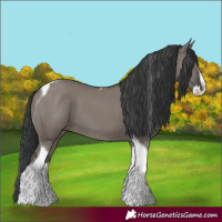 Horse Color:Grullo Splash Tobiano
