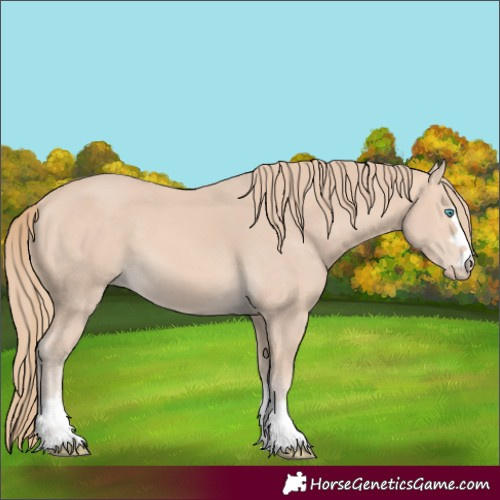 Horse Color:Perlino 