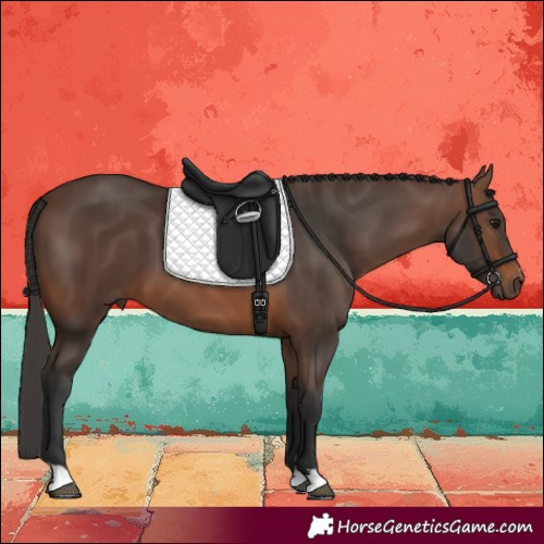 Horse Color:Brown 