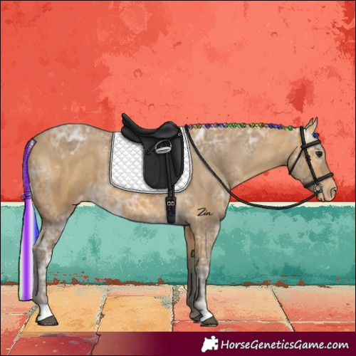 Horse Color:Painted Silver Buckskin Ice Appaloosa 