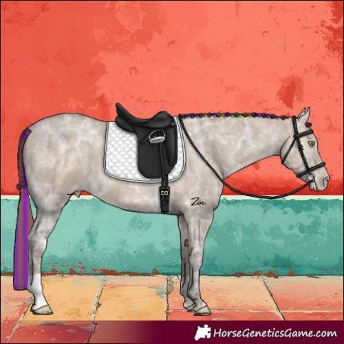 Horse Color:Painted Sable Champagne Ice Dun Varnish