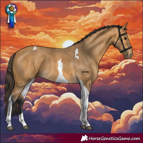 Horse Color:Buckskin Tobiano 