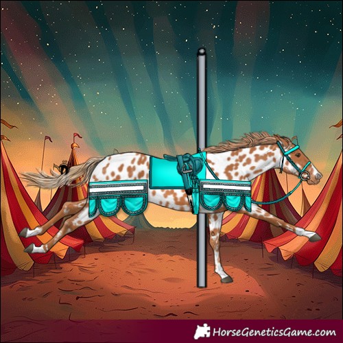 Horse Color:Chestnut Near Leopard 