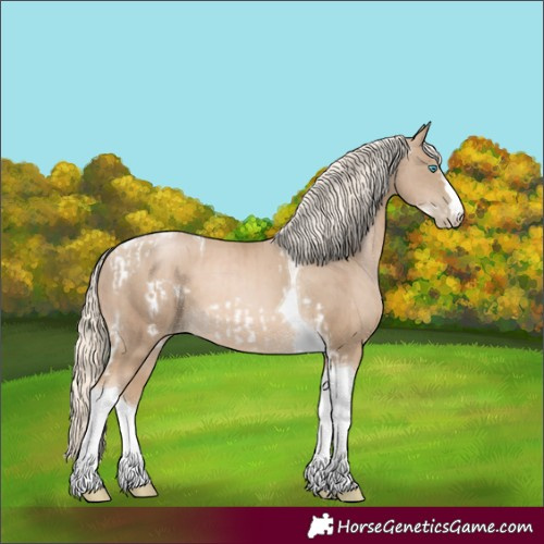 Horse Color:Chocolate Palomino Pearl Tobiano Frame and Chocolate Palomino Pearl Tobiano