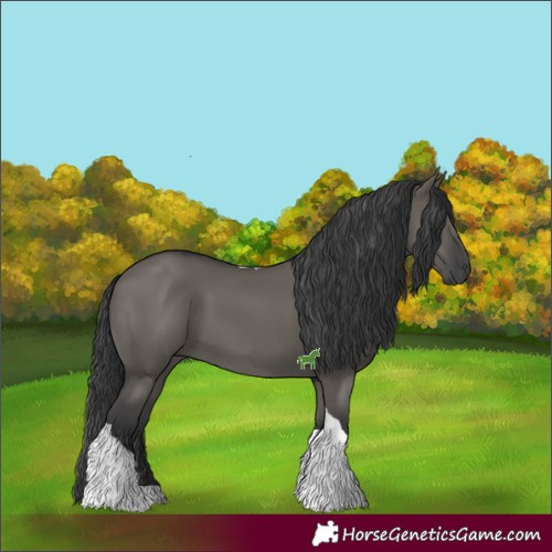 Horse Color:Grullo Tobiano