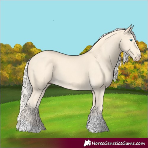 Horse Color:Cremello
