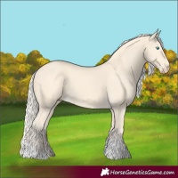 Horse Color:Cremello