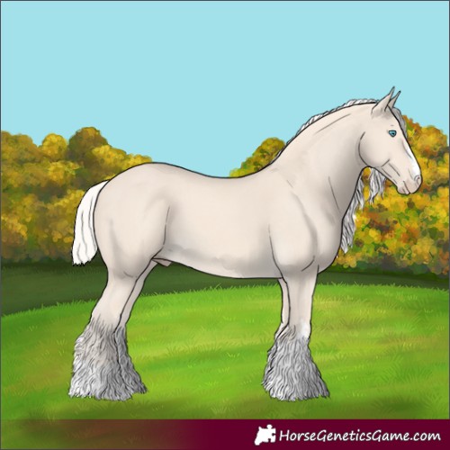 Horse Color:Cremello