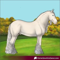 Horse Color:Cremello