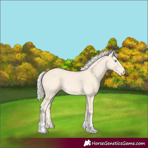 Horse Color:Cremello