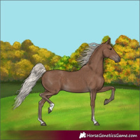 Horse Color:Silver Black 